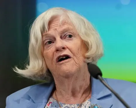 Ann Widdecombe police investigate whether accused had role in Farage incident
