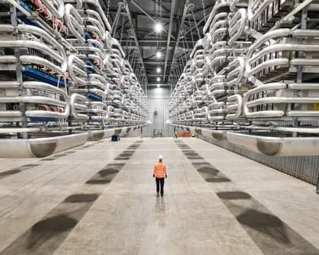 Energy nationalism and interconnectors: the next power threat? | Nils Pratley