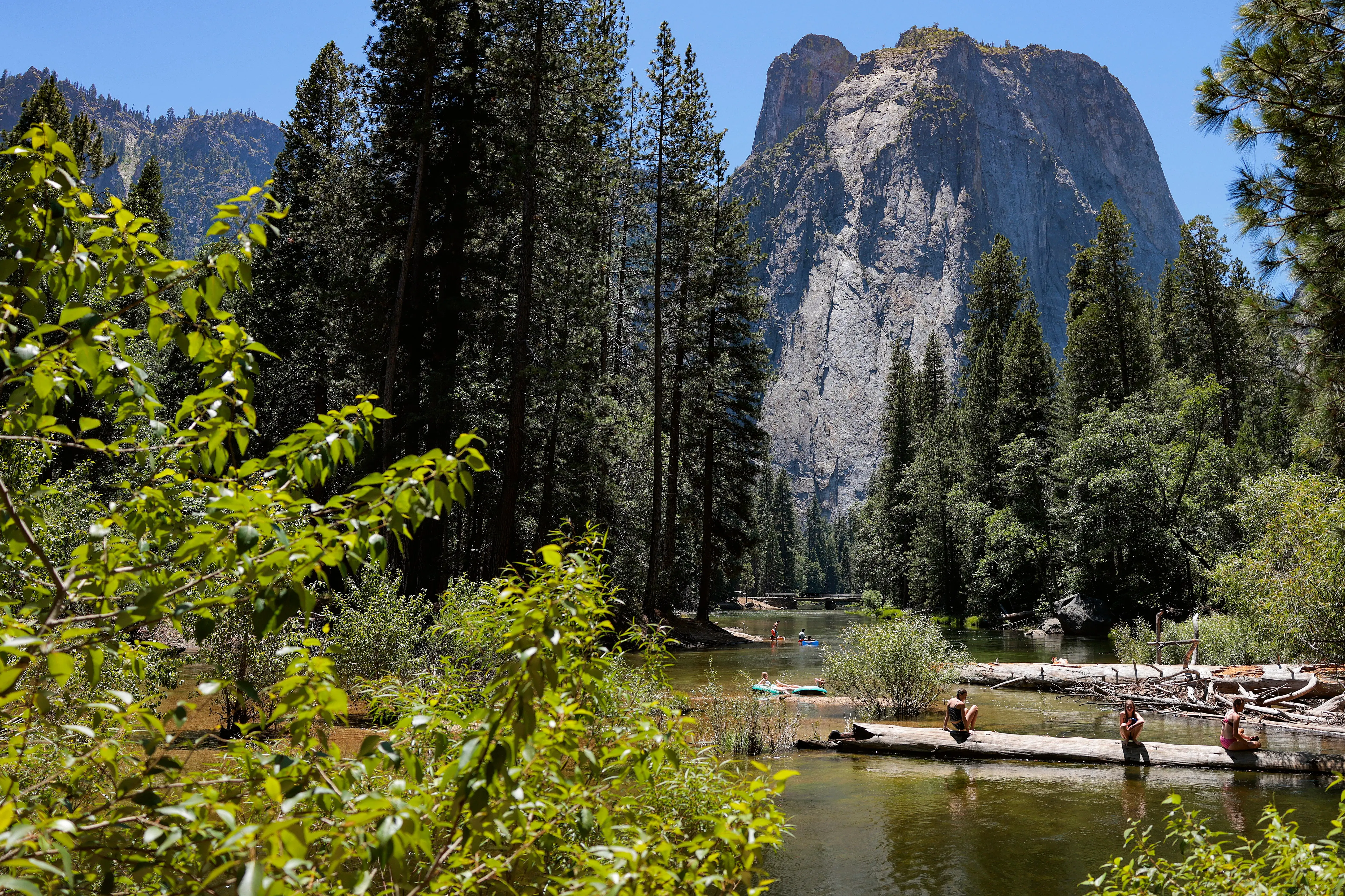 Trump admin allegedly weighs developer’s plan to build road in Yosemite National Park