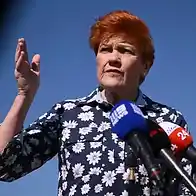 Do not call her a racist: anti-Pauline Hanson strategists tell campaigners character attacks won’t work in Victoria