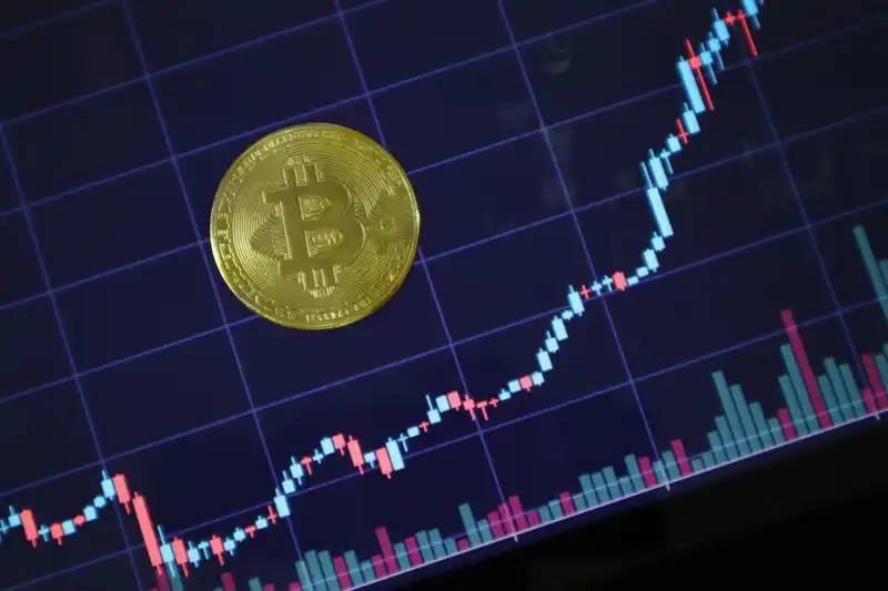 Tokenized Stock Activity Soars as Adoption Grows