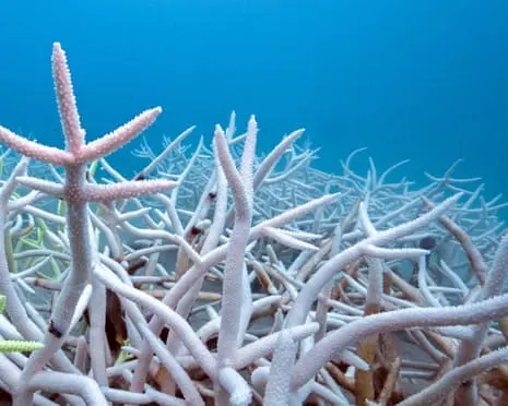 World’s seas heated by a record 23 zettajoules last year