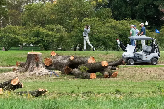 Judge further extends block on Trump administration’s removing trees at D.C. golf course
