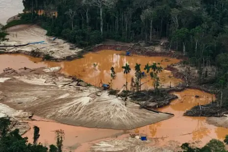 US corporate lobbyists mounted ‘blitz’ to dilute landmark EU deforestation law, report finds