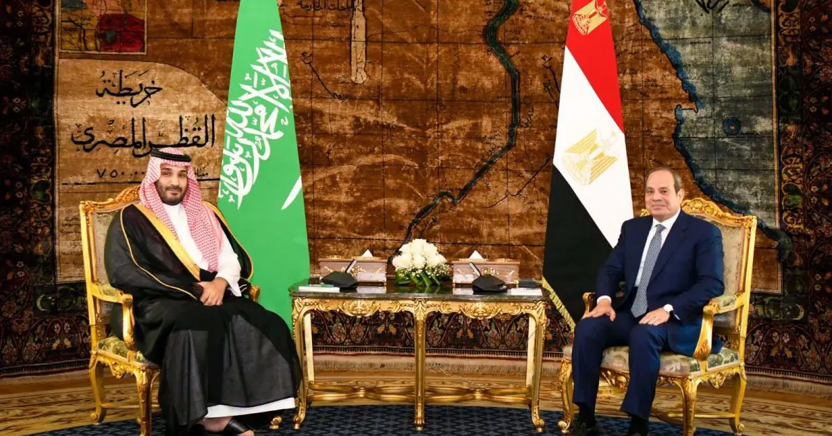 Egypt to provide ‘necessary’ support to Saudi Arabia amid Houthi attacks