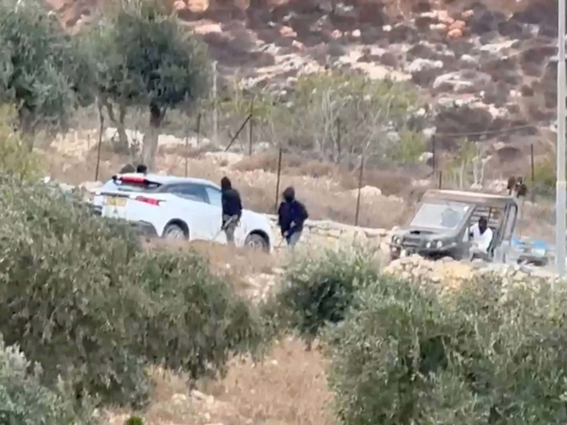 Critics say hold Israel to account amid surge in olive harvest attacks