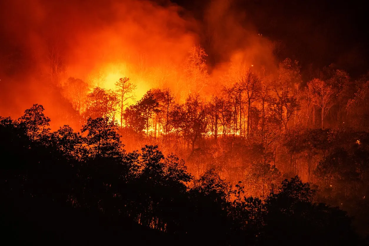 Forest fires significantly worsening across Africa’s tropical nations, data shows