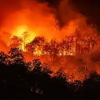 Forest fires significantly worsening across Africa’s tropical nations, data shows