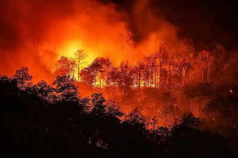 Forest fires significantly worsening across Africa’s tropical nations, data shows