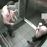 Man accused of stealing flamingo from Vegas casino on trial