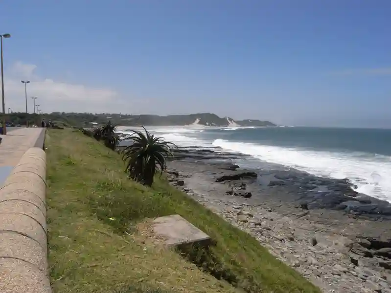 Swimmer killed in shark attack in South Africa
