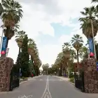 University of Arizona sorority member alleges sexual assault at fraternity house