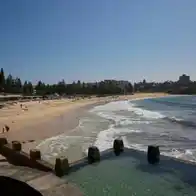‘Almost looks fake’: two Sydney beaches closed after whale carcass washes up