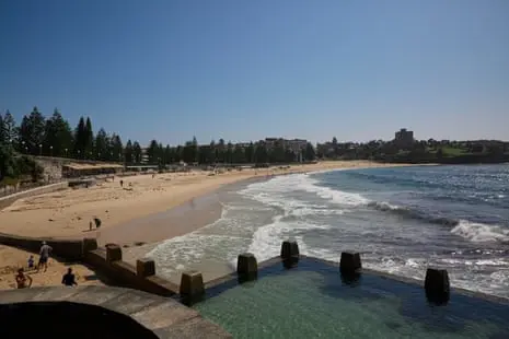 ‘Almost looks fake’: two Sydney beaches closed after whale carcass washes up