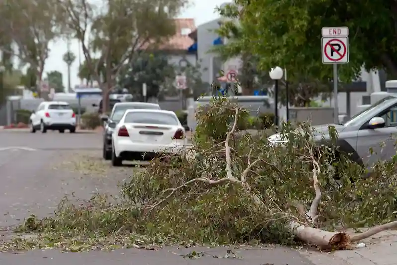Monster hail smashes cars as rare tornado threat grips Arizona