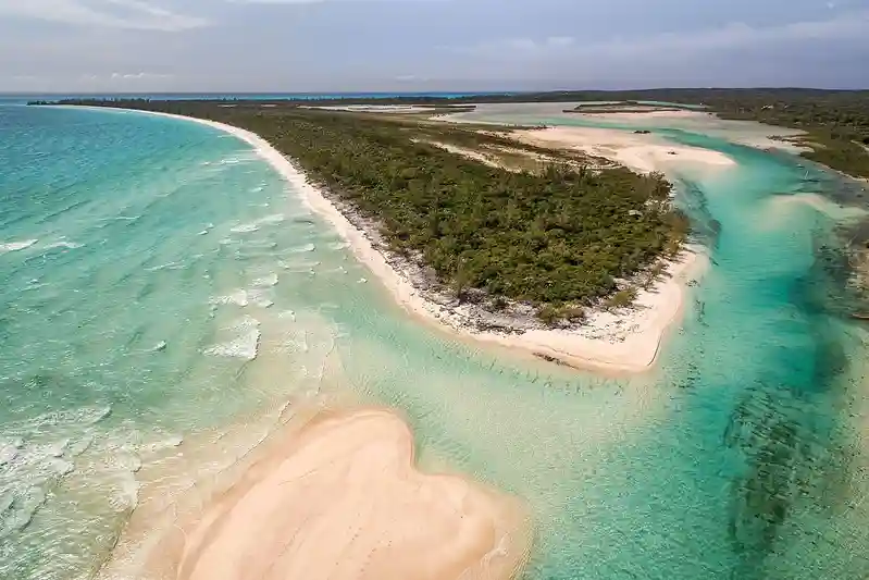 British woman dies in Bahamas while trying to save sons swept away while snorkelling