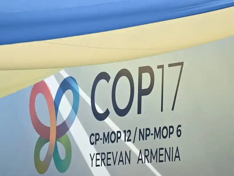 COP17 puts Armenia’s environmental record in the spotlight