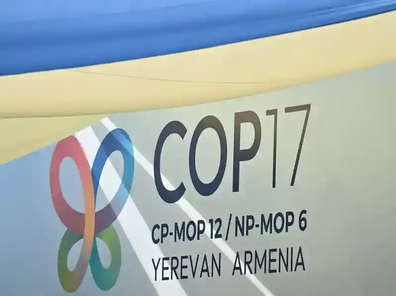 COP17 puts Armenia’s environmental record in the spotlight