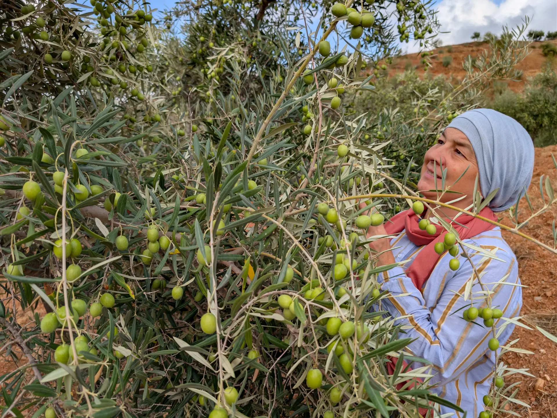 The Muslims finding belonging in southern Spain