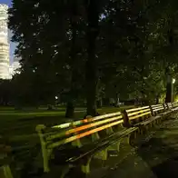 Woman sexually assaulted at knifepoint in Central Park, police say