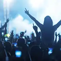 Arctic Numpties to Daft Funk: Fans priced out of concerts turn to tribute acts
