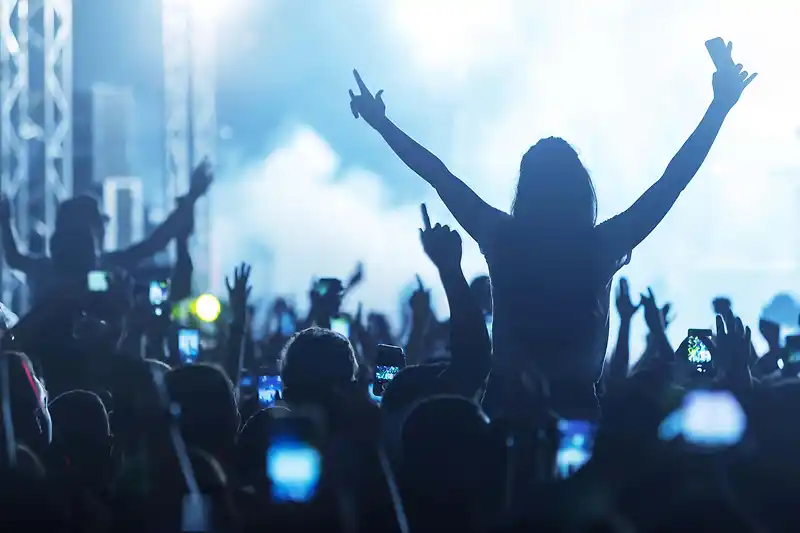 Arctic Numpties to Daft Funk: Fans priced out of concerts turn to tribute acts