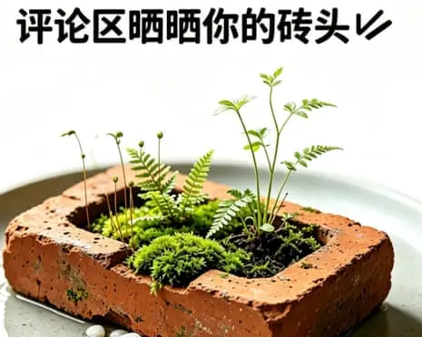 ‘Zero-energy companionship’: bizarre hobby takes seed among China’s stressed young adults