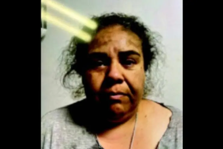 Woman who claimed masked ICE agents kidnapped her set to plead guilty to hoax