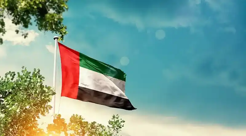 UAE Investor Refunds Jump to 1.2 Billion Dirhams as Licensed Firms Rise 43%