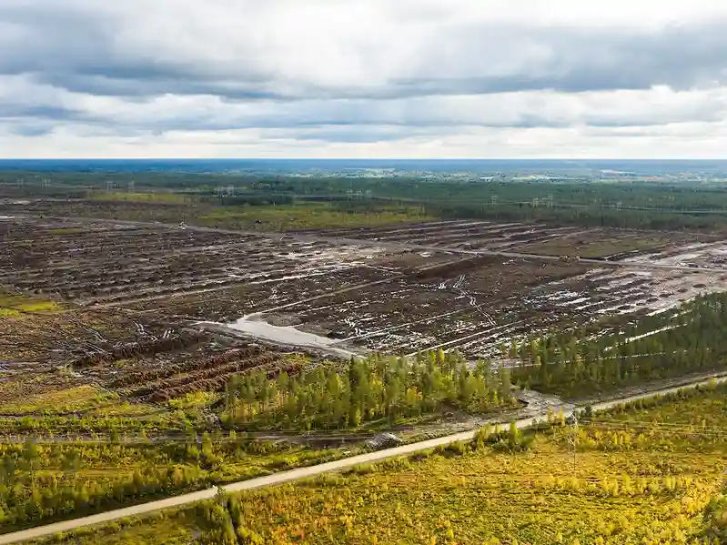 Finland launches criminal probe of suspected environmental damage by Google