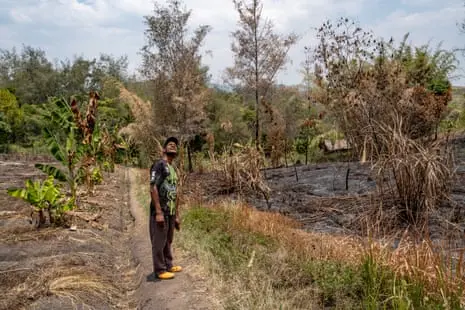 El Niño-driven drought in Papua New Guinea a ‘national crisis’ as rivers dry up and local farms fail