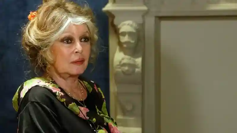 Brigitte Bardot, French film icon turned far-right provocateur, dies at 91