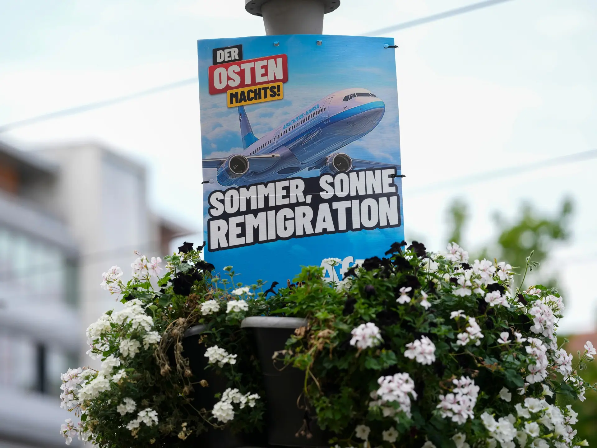What is remigration, the far-right fringe idea going mainstream?